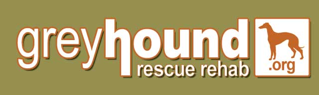 Greyhound Rescue & Rehabilitation